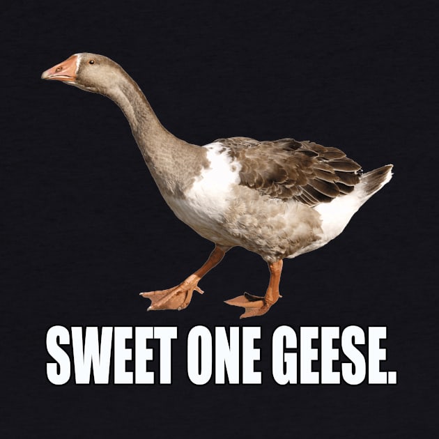 Sweet One Geese by Dudey Rhino